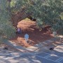 Click to enlarge image Gallery Photo 132